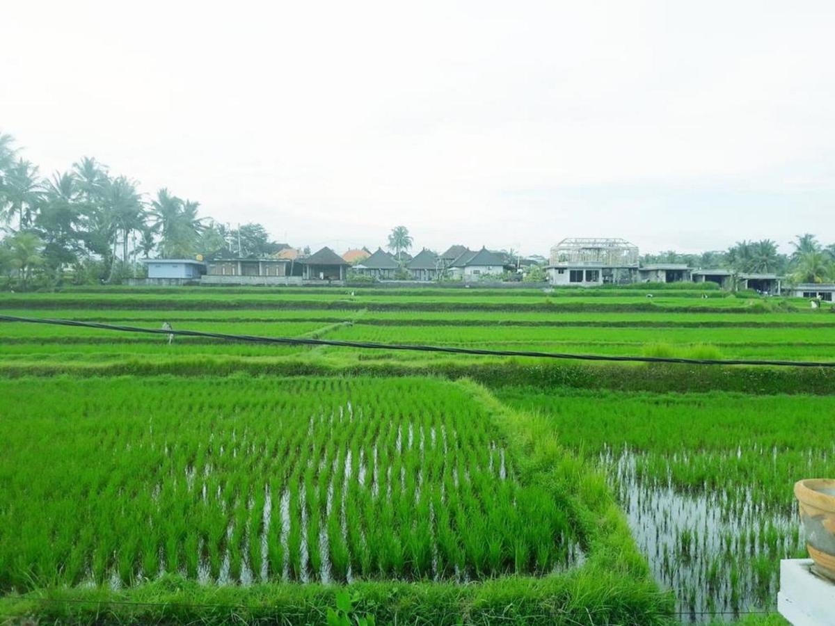 Tantra House Ubud エクステリア 写真